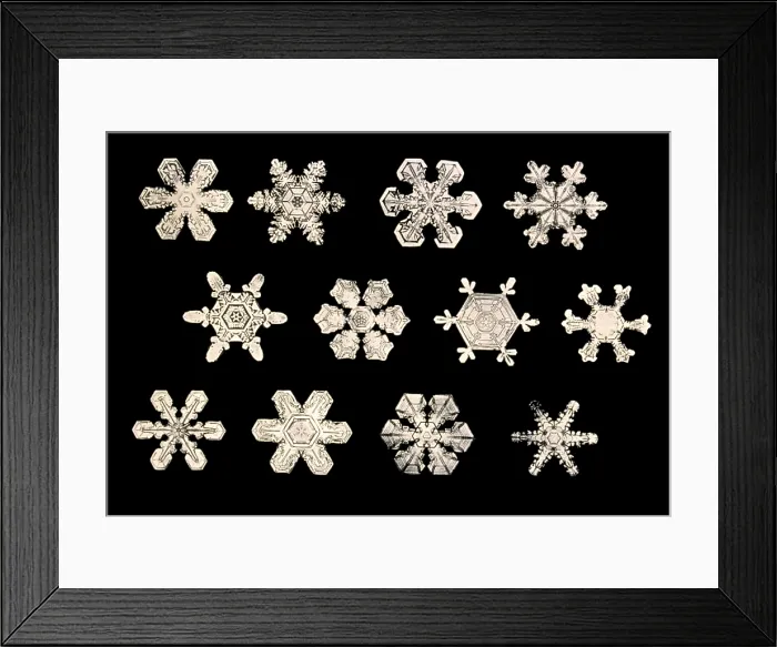 Framed Print : Snowflakes Framed Print : Snowflakes