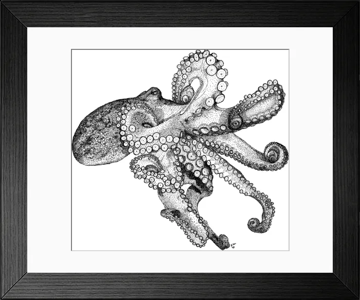 Framed Print : Atlantic Octopus Framed Print : Atlantic Octopus