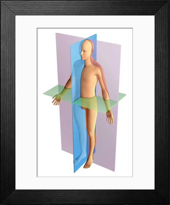 Framed Print : Anatomical Planes Framed Print : Anatomical Planes