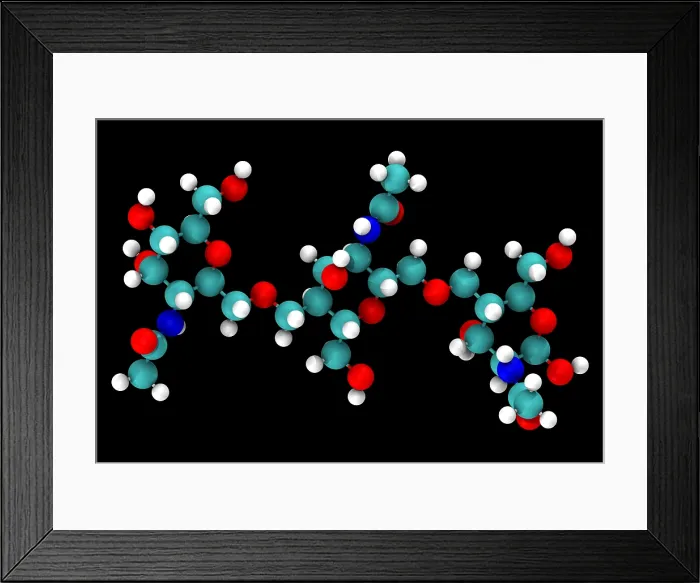 Framed Print : Chitin Molecular Model Framed Print : Chitin Molecular Model