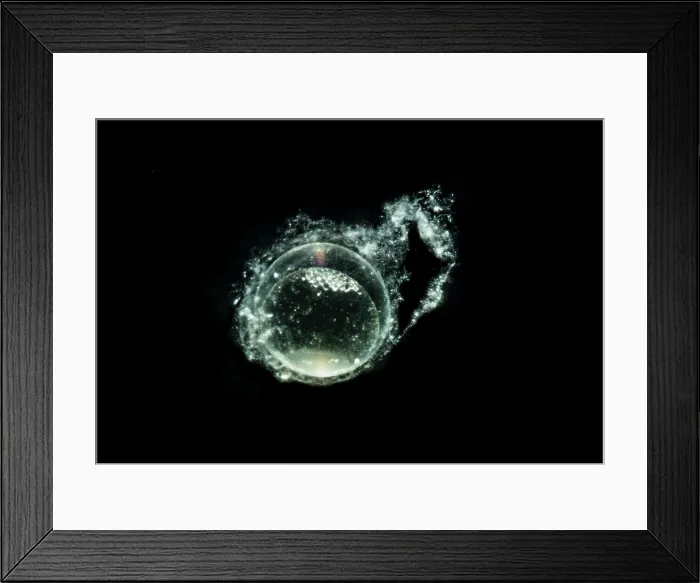 Framed Print : Barrens Topminnow (Fundulus julisia) Framed Print : Barrens Topminnow (Fundulus julisia)