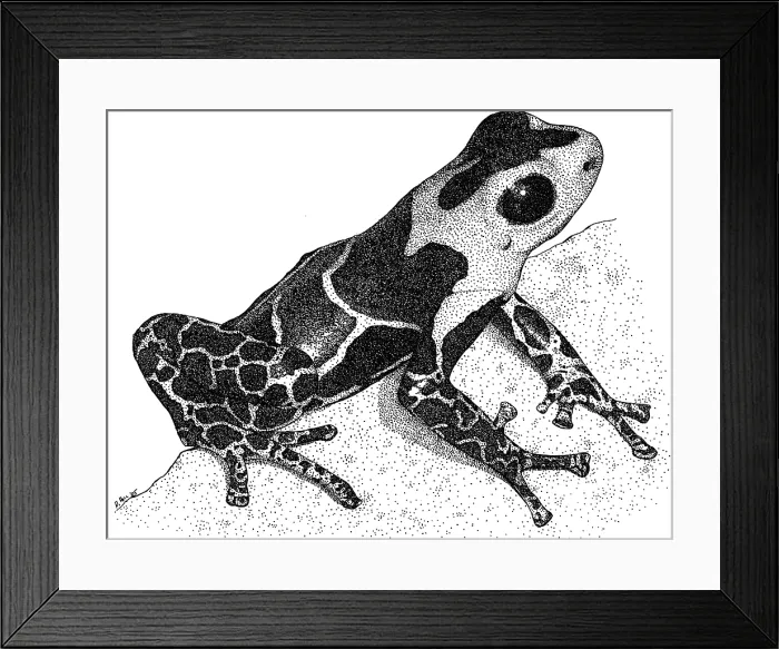 Framed Print : Crowned Poison Frog