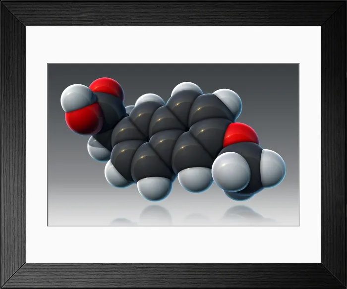 Framed Print : Naproxen, Molecular Model Framed Print : Naproxen, Molecular Model
