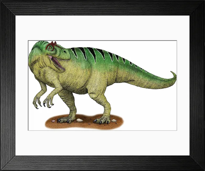 Framed Print : Allosaurus Framed Print : Allosaurus