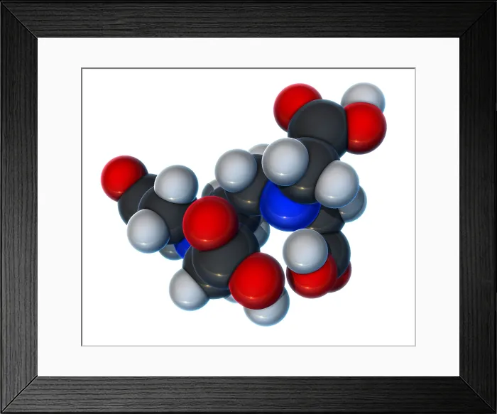 Framed Print : EDTA, Molecular Model