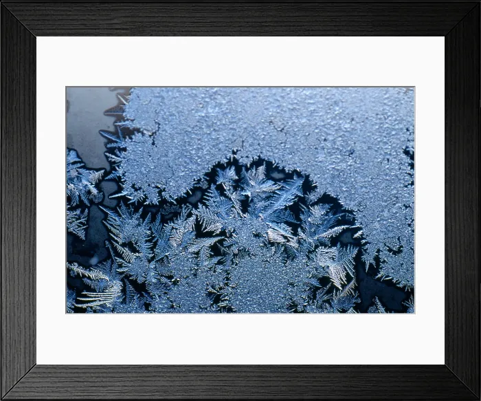 Framed Print : Frost Crystals Framed Print : Frost Crystals