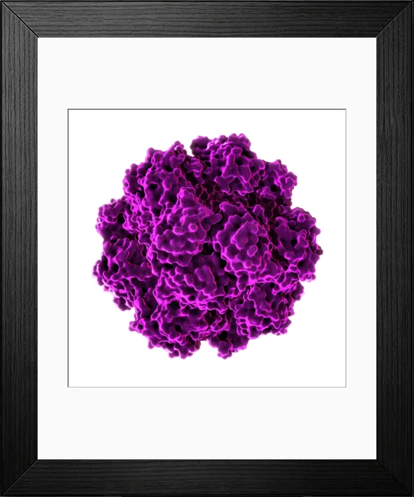 Framed Print : Tetrahedral Protein Cage Framed Print : Tetrahedral Protein Cage