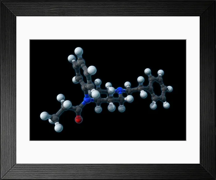 Framed Print : Fentanyl, molecular model Framed Print : Fentanyl, molecular model