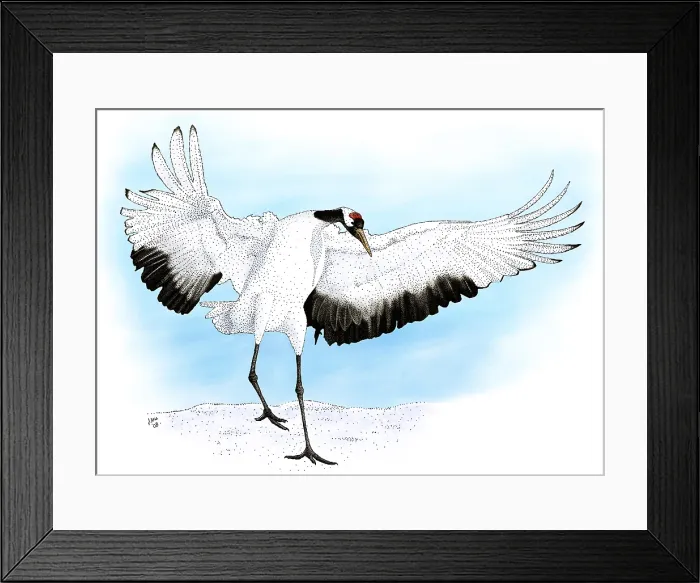 Framed Print : Japanese Crane Framed Print : Japanese Crane