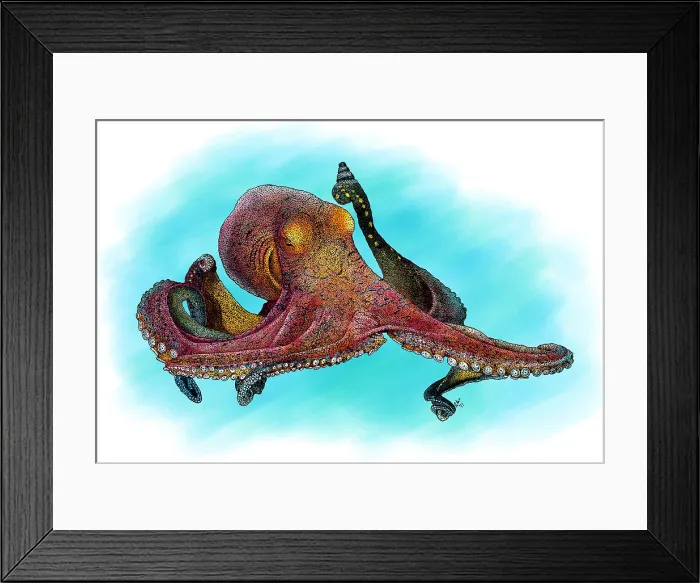Framed Print : Day Octopus Framed Print : Day Octopus