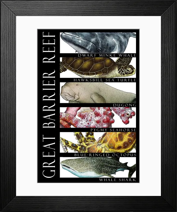 Framed Print : Animals of the Great Barrier Reef