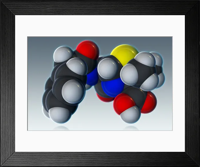 Framed Print : Penicillin V Molecular Model Framed Print : Penicillin V Molecular Model