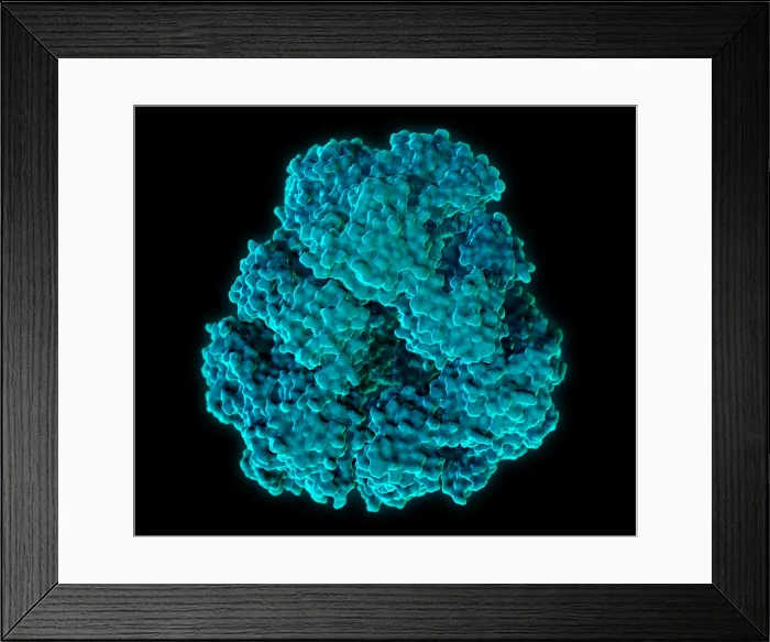 Framed Print : Protein Cage, Molecular Model Framed Print : Protein Cage, Molecular Model