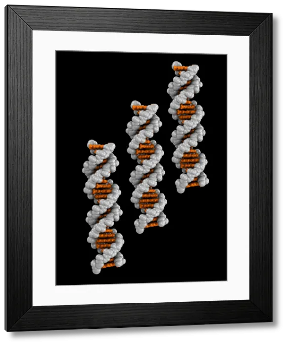 Framed Print : 3D DNA Molecule Framed Print : 3D DNA Molecule
