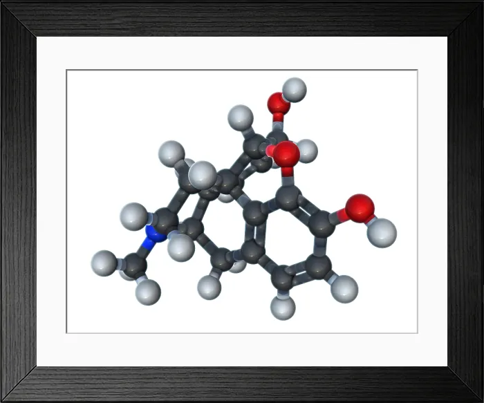Framed Print : Morphine Molecular Model Framed Print : Morphine Molecular Model