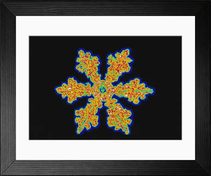 Framed Print : Snowflakes Framed Print : Snowflakes