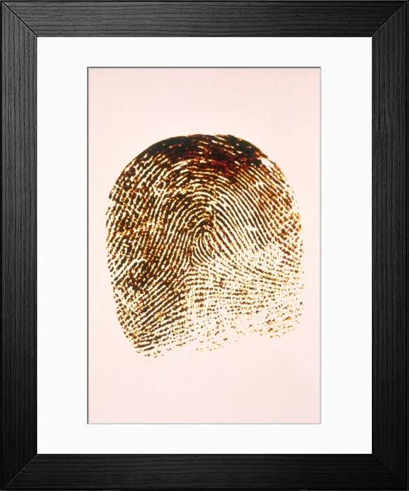 Framed Print : Human Fingerprint Framed Print : Human Fingerprint