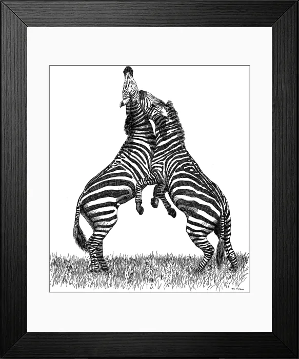Framed Print : Grant's Zebras Framed Print : Grant's Zebras