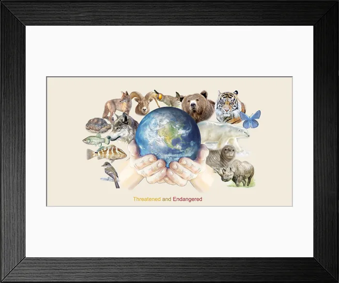 Framed Print : Threatened and Endangered Species Framed Print : Threatened and Endangered Species