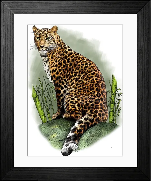 Framed Print : North china leopard Framed Print : North china leopard