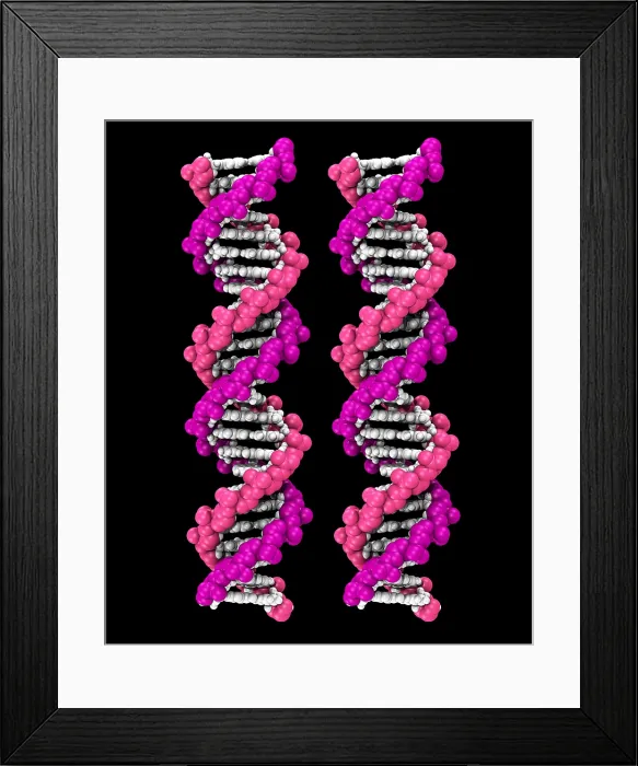 Framed Print : 3D DNA Molecule Framed Print : 3D DNA Molecule