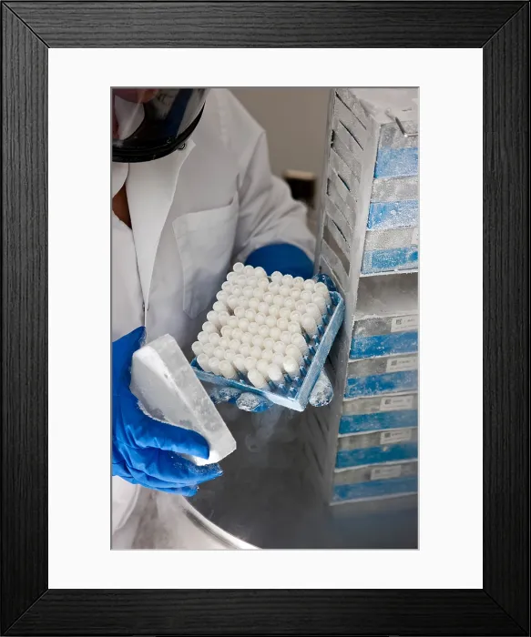 Framed Print : Researcher with Human Tissue Samples Framed Print : Researcher with Human Tissue Samples