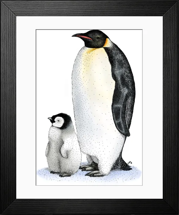 Framed Print : Emperor Penguin with Chick Framed Print : Emperor Penguin with Chick