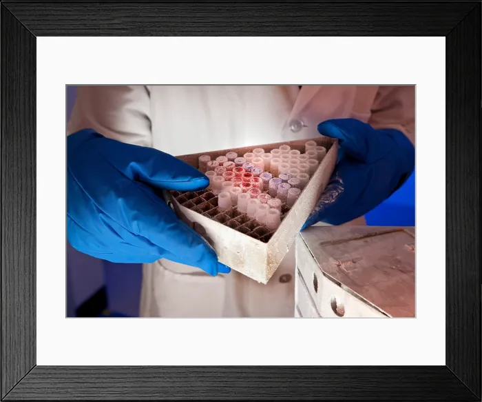 Framed Print : Samples Stored in Liquid Nitrogen Framed Print : Samples Stored in Liquid Nitrogen
