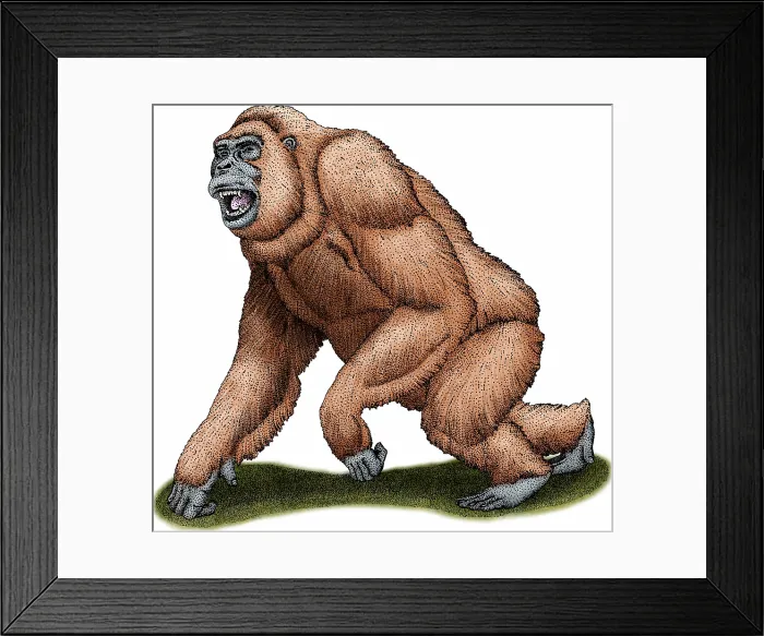 Framed Print : Gigantopithecus Framed Print : Gigantopithecus
