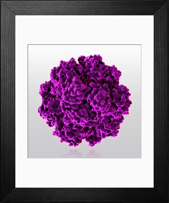 Framed Print : Tetrahedral Protein Cage Framed Print : Tetrahedral Protein Cage