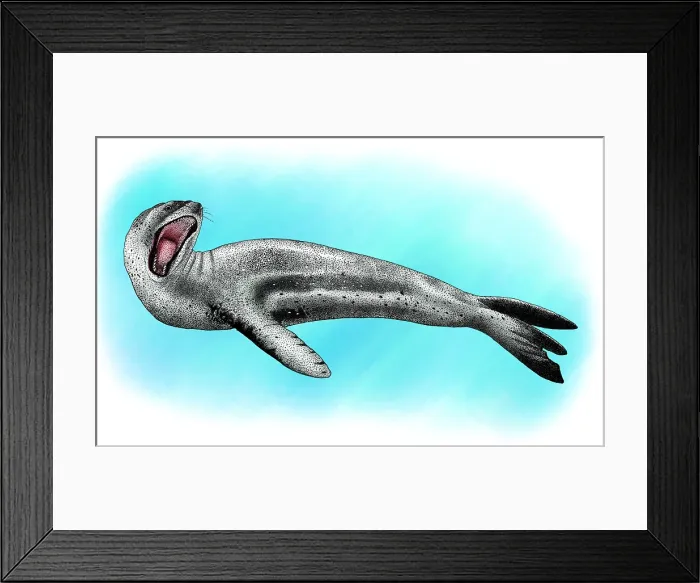 Framed Print : Leopard Seal Framed Print : Leopard Seal