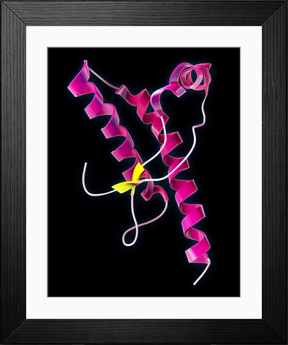 Framed Print : Human Prion Protein Framed Print : Human Prion Protein