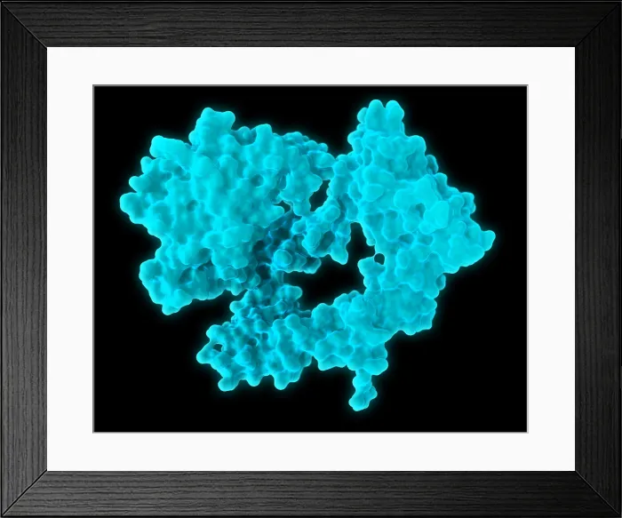 Framed Print : Epidermal Growth Factor Receptor Framed Print : Epidermal Growth Factor Receptor