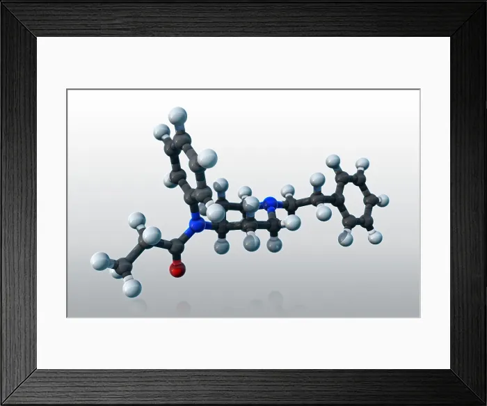 Framed Print : Fentanyl, molecular model Framed Print : Fentanyl, molecular model