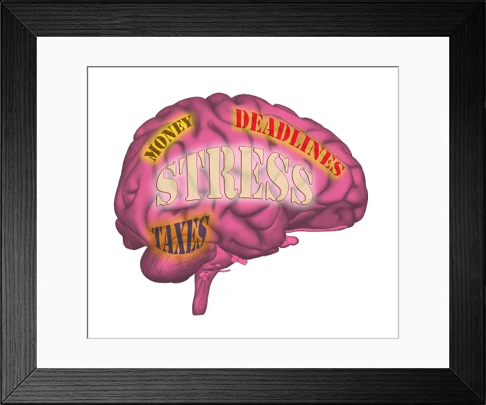 Framed Print : Stress. Illustration of the human brain, and the concept of stress and anxiety Framed Print : Stress. Illustration of the human brain, and the concept of stress and anxiety