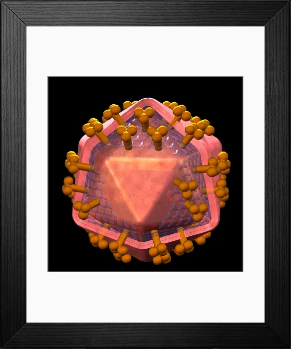 Framed Print : HIV. 3D computer graphic of HIV, the AIDS virus Framed Print : HIV. 3D computer graphic of HIV, the AIDS virus
