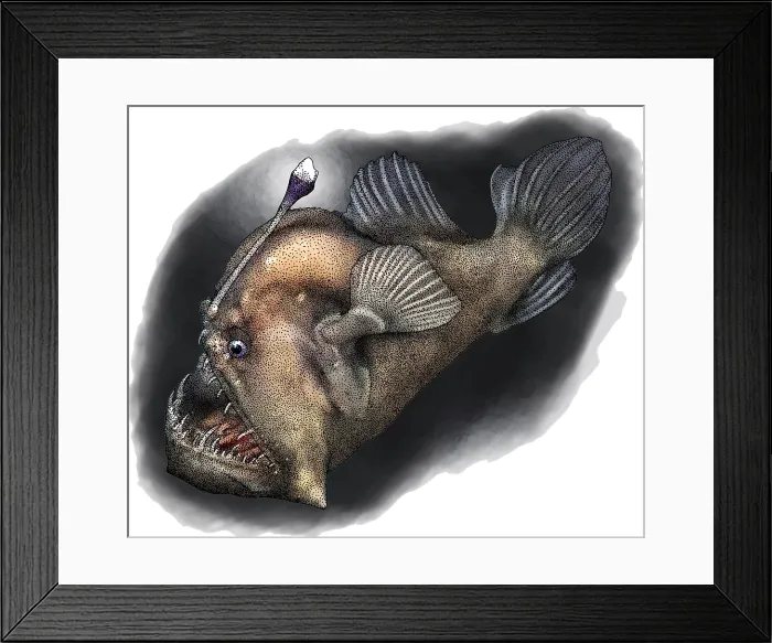 Framed Print : Black seadevil Framed Print : Black seadevil