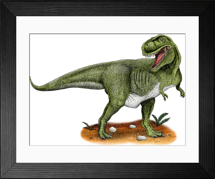 Framed Print : Tyrannosaurus Rex Framed Print : Tyrannosaurus Rex