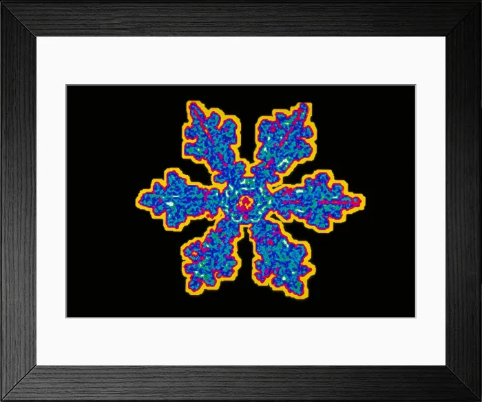 Framed Print : Snowflake Framed Print : Snowflake