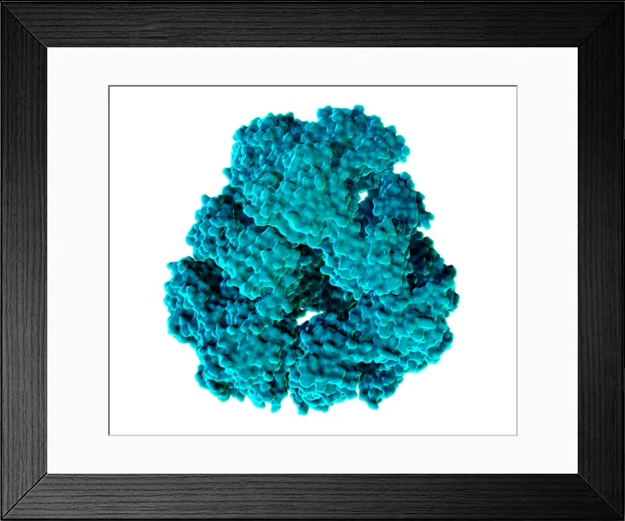 Framed Print : Protein Cage, Molecular Model