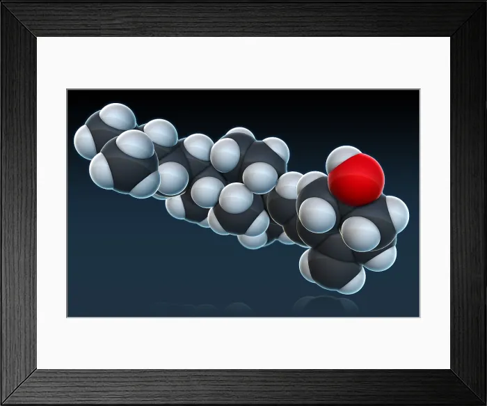 Framed Print : Vitamin D3, Molecular Model Framed Print : Vitamin D3, Molecular Model