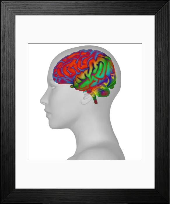 Framed Print : Brain and Woman's Head Framed Print : Brain and Woman's Head