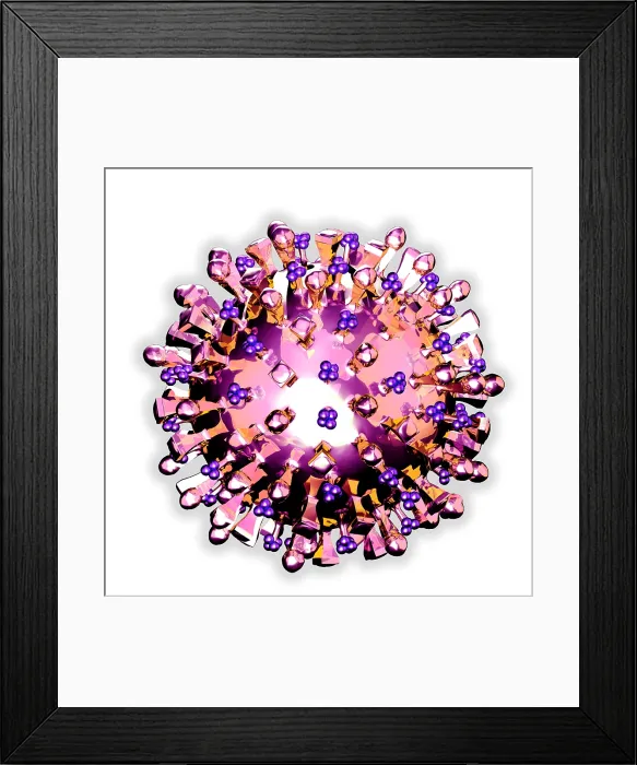 Framed Print : H5N1 Virus