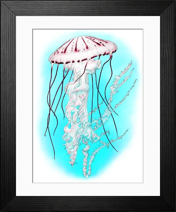 Framed Print : Purple Striped Jellyfish
