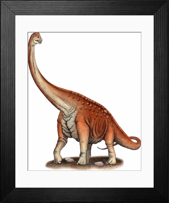 Framed Print : Paluxysaurus Framed Print : Paluxysaurus