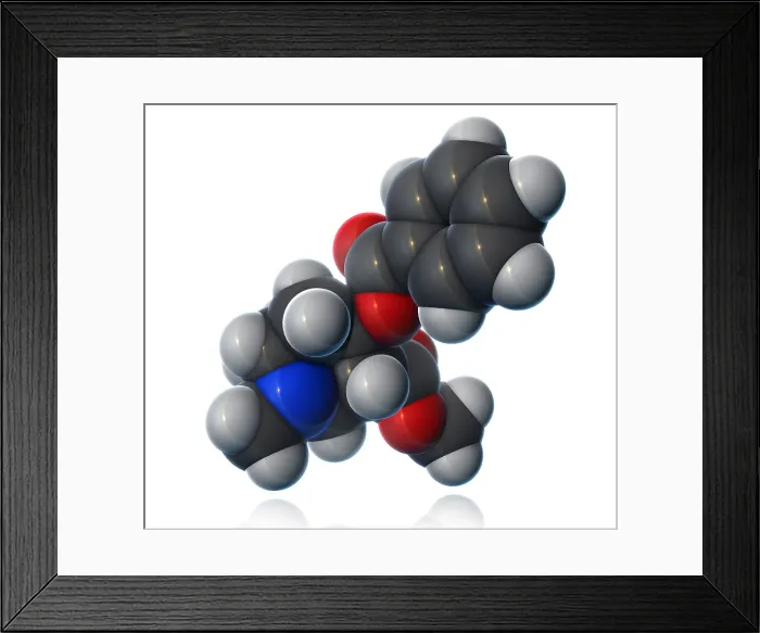 Framed Print : Cocaine Molecular Model Framed Print : Cocaine Molecular Model