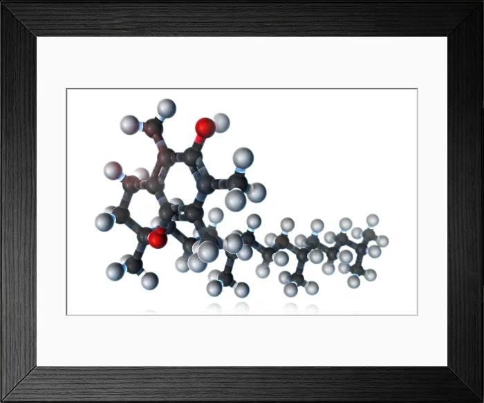 Framed Print : Vitamin E, Molecular Model Framed Print : Vitamin E, Molecular Model