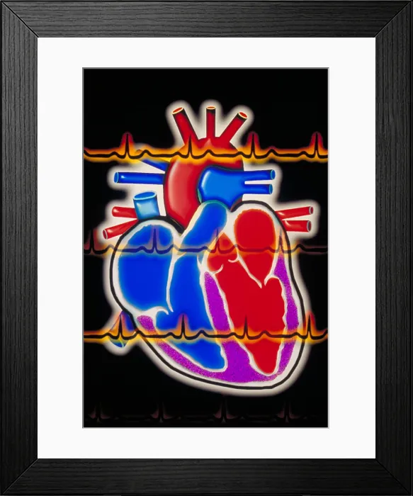 Framed Print : Computer illustration of a human heart Framed Print : Computer illustration of a human heart