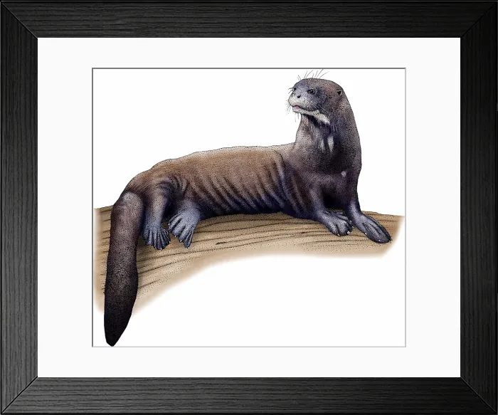 Framed Print : Giant River Otter Framed Print : Giant River Otter