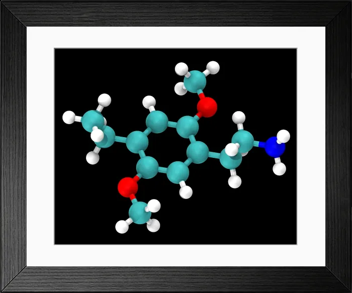 Framed Print : Molecular Model of 2C-E Framed Print : Molecular Model of 2C-E